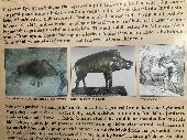 2023-10-13 Muzeum ?r n.S.